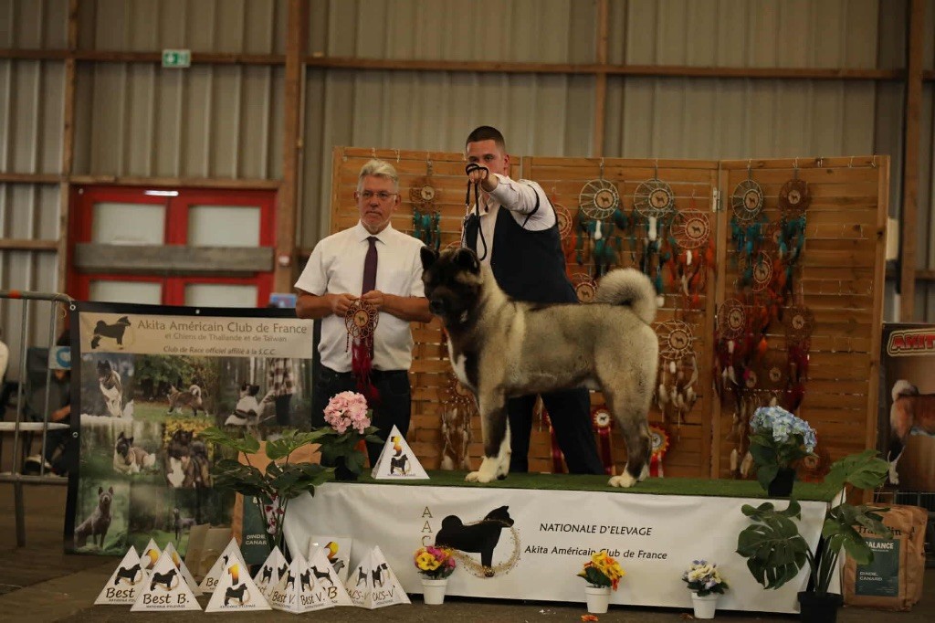 Rampage Spirit Vvolf of night