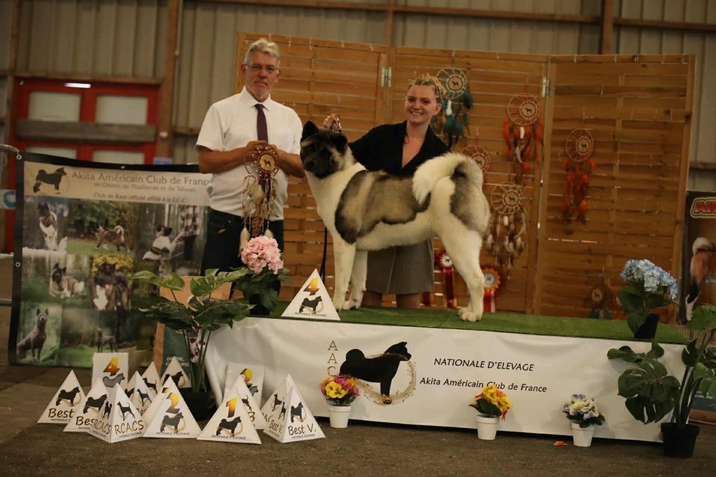 Rampage Spirit Very important puppy